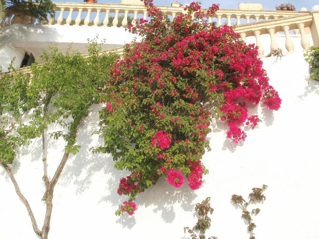 Oniro Villas Corfou Extérieur photo